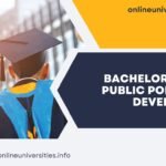 Bachelor of Arts BA - Public Policy And Development